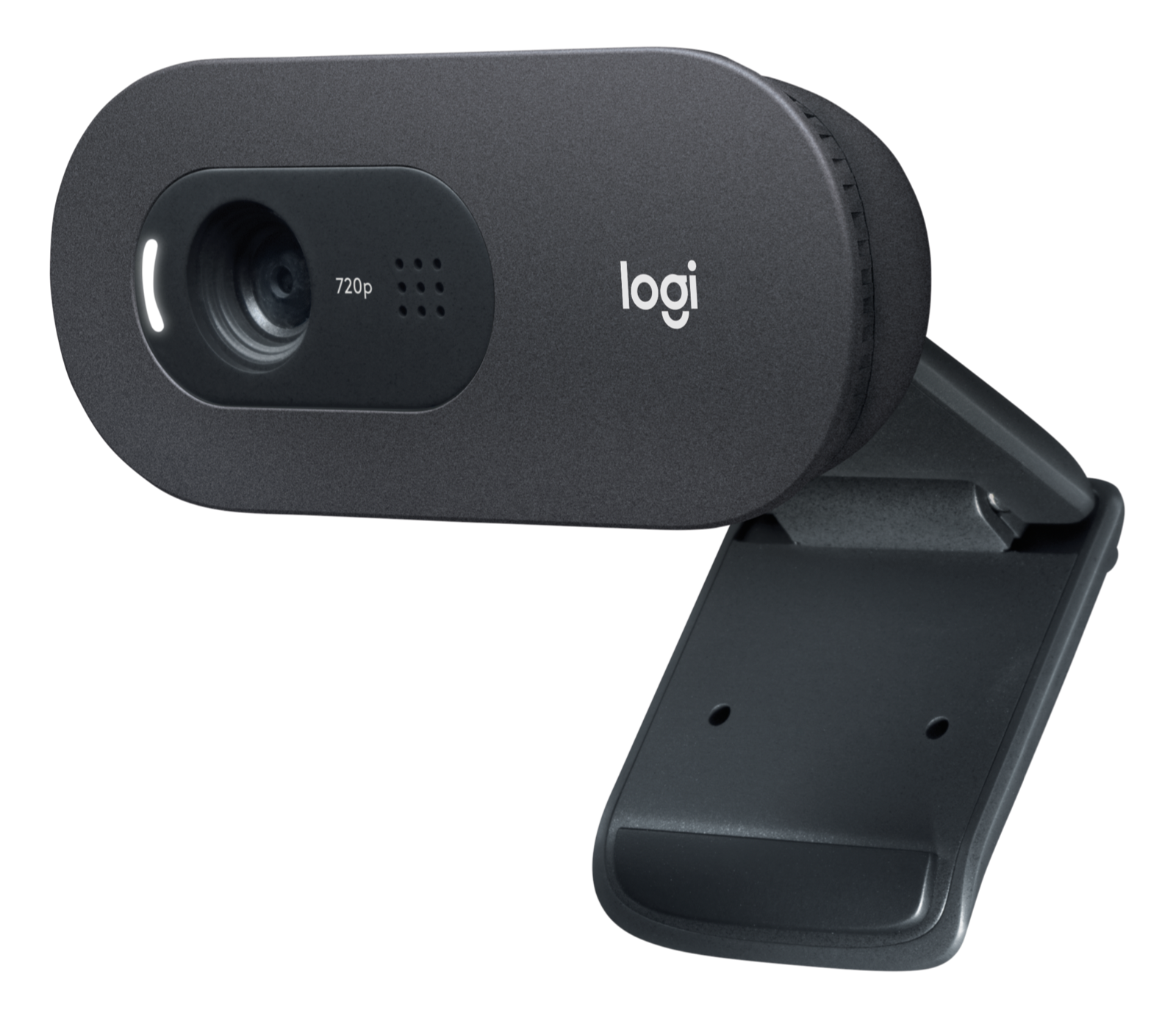 Logitech C505e HD BUSINESS WEBCAM